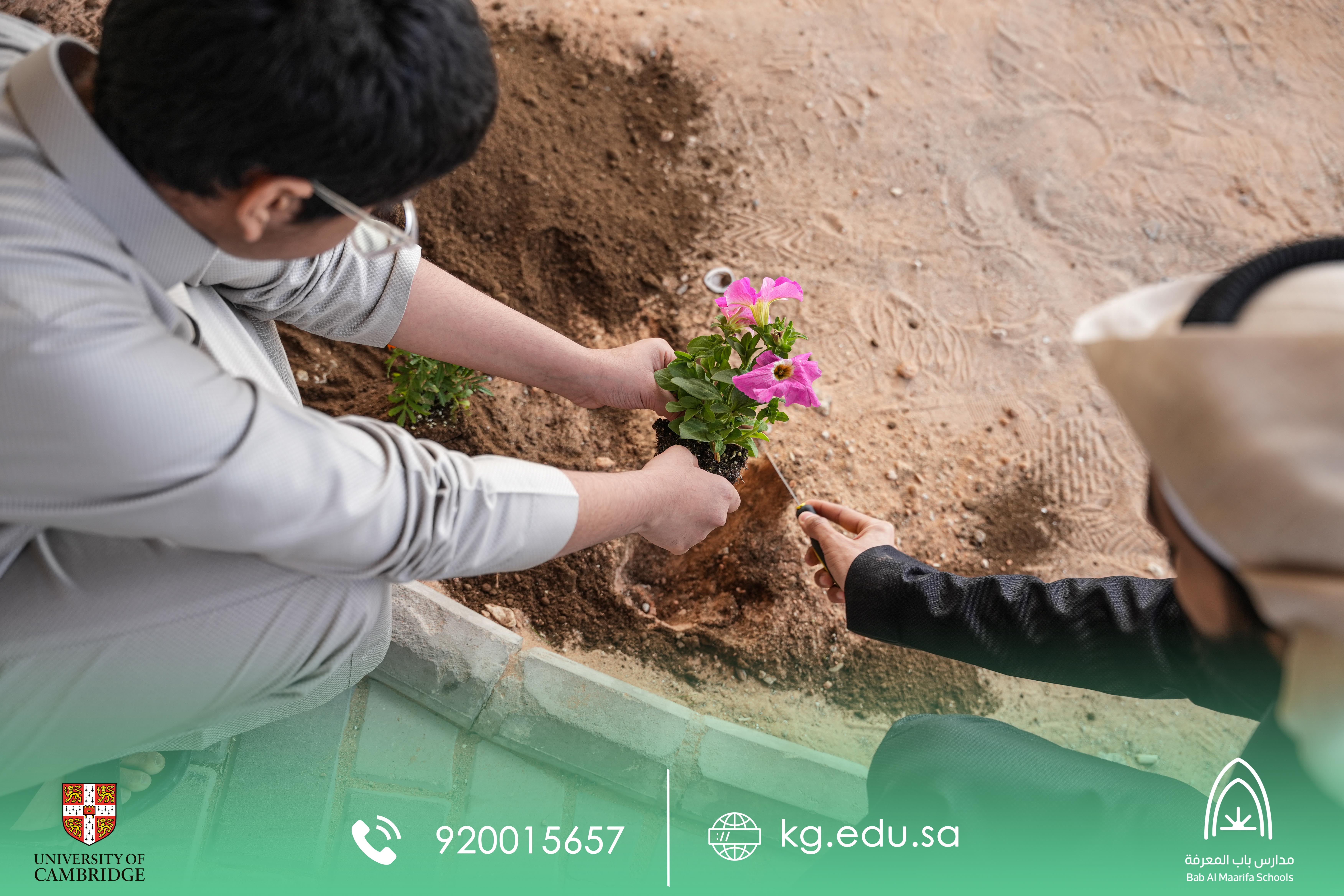 النظافة من الإيمان